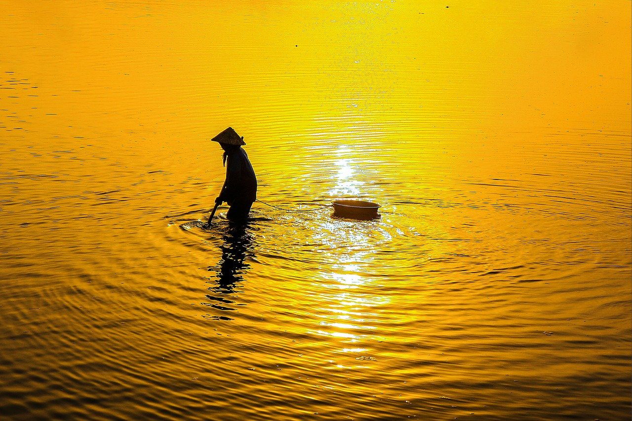 Descubre dónde trabajan los fotógrafos y cómo destacar en el mundo de la fotografía con una silueta con sombrero cónico caminando en aguas doradas al atardecer